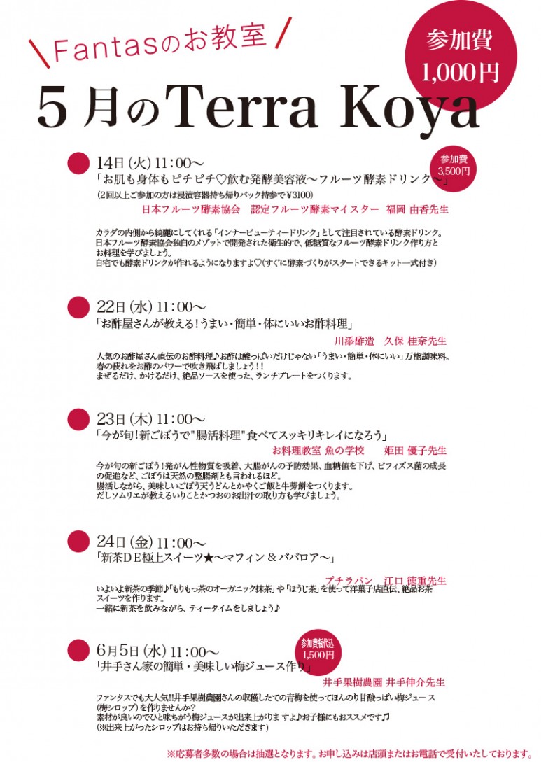 201905Terra koya