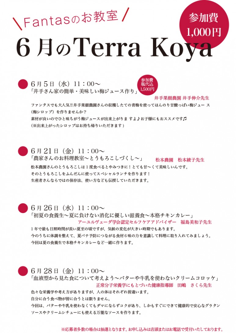 201906Terra koya
