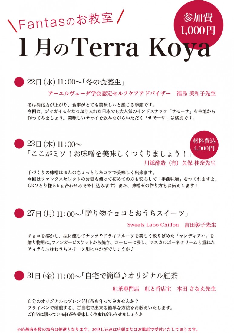 202001Terra koya