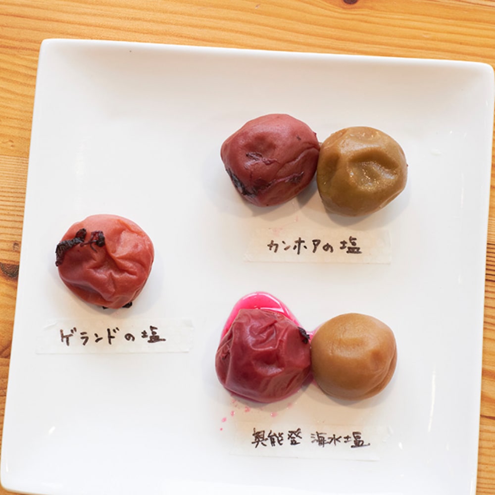 カンホアの塩の白梅・しそ入り、奥能登海水塩の白梅・しそ入り、ゲランドの塩のしそ入りの5種