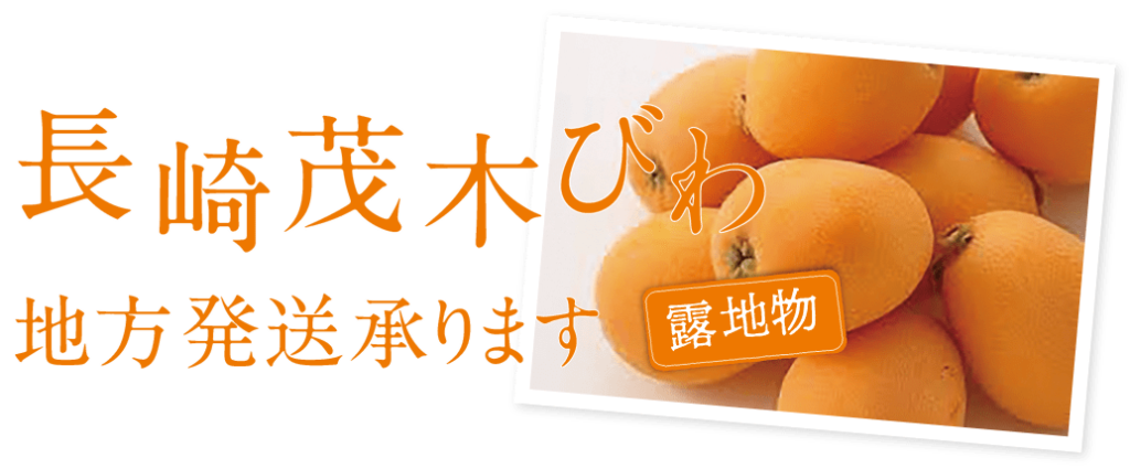 長崎茂木びわ