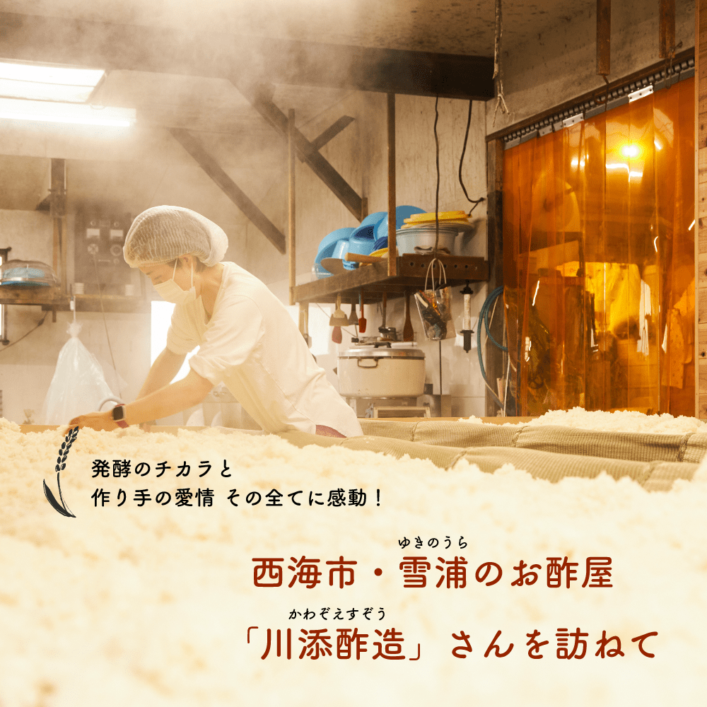 発酵のチカラと
作り手の愛情
その全てに感動！
西海市・雪浦のお酢屋
「川添酢造」さんを訪ねて