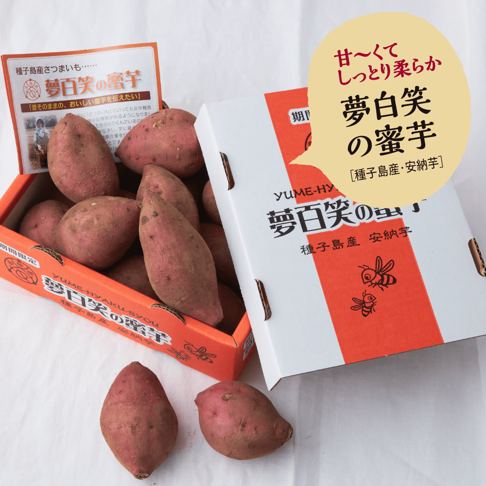 甘～くてしっとり柔らか
夢白笑の蜜芋
（種子島産・安納芋）