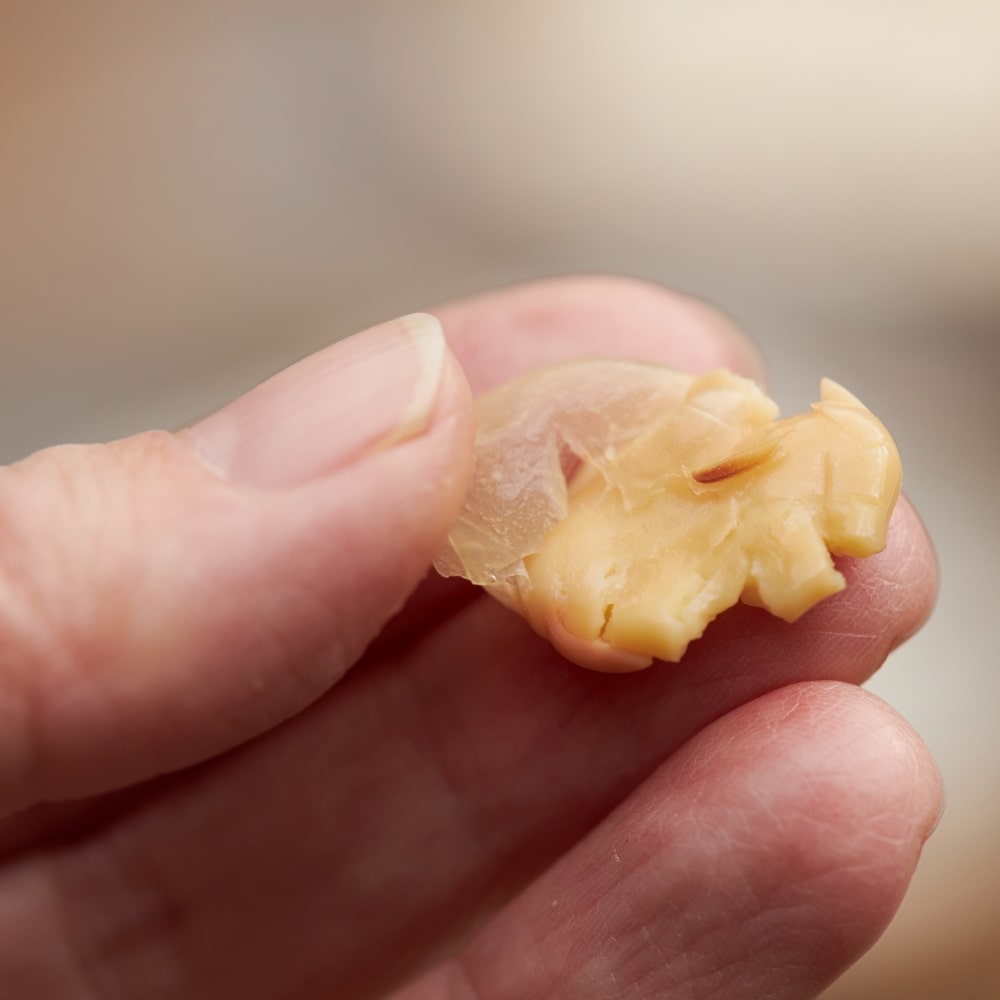 大豆は指で押すとしっかり潰れるくらい柔らかく炊きます