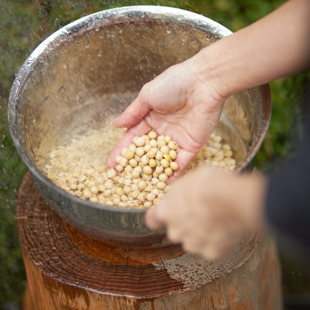 味噌づくりの準備
大豆を洗う