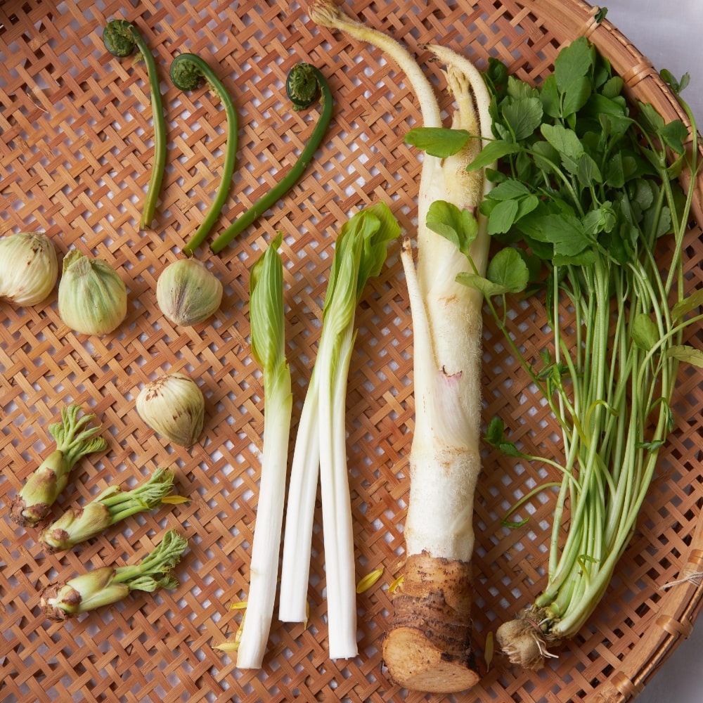 ウド、ふきのとう、たらの芽、こごみ、せり…たくさんの春野菜