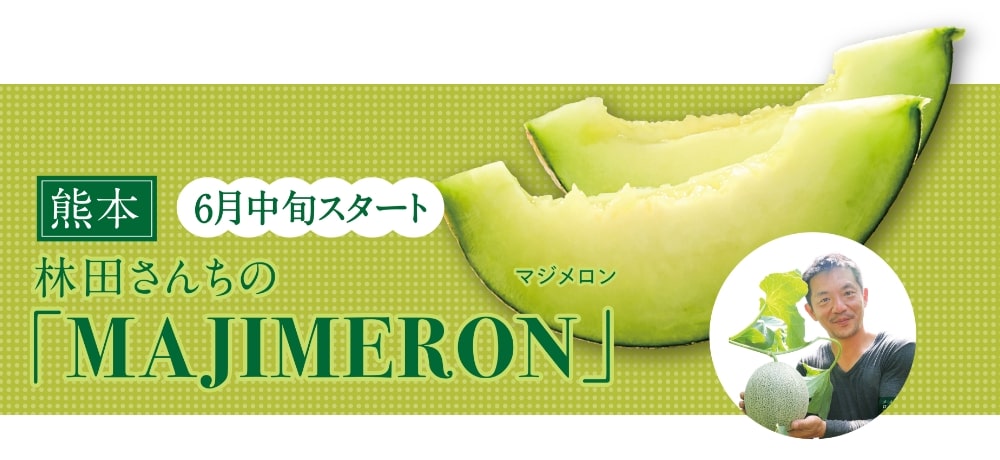 【熊本】
6月中旬スタート
林田さんちの
「MAJIMERON」マジメロン